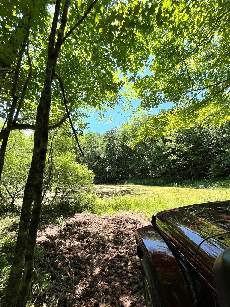 #2 photo, Dahlia LOT 2 Road, Livingston Manor , NY 12758