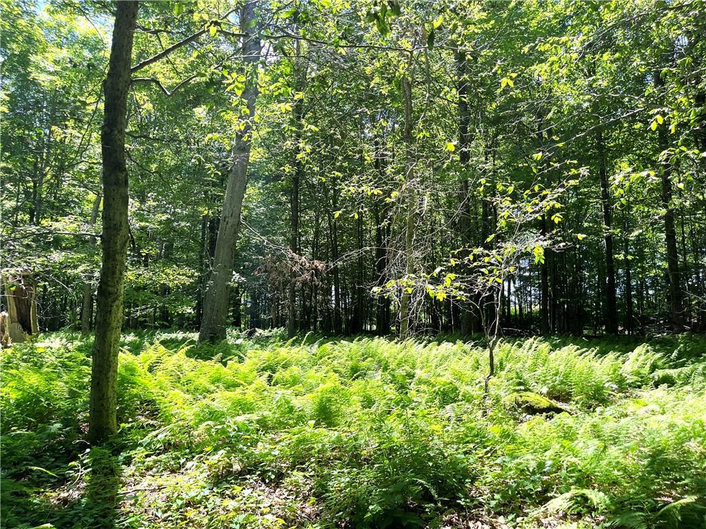 #20 photo, Dahlia LOT 2 Road, Livingston Manor , NY 12758