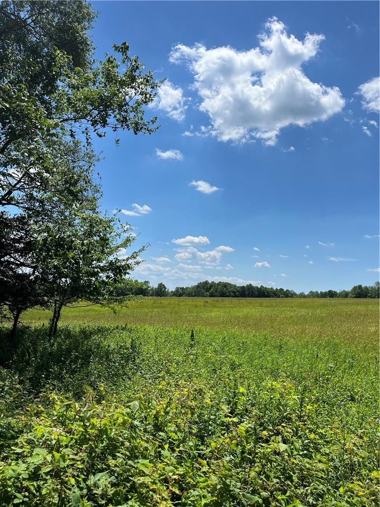 #6 photo, Dahlia LOT 2 Road, Livingston Manor , NY 12758