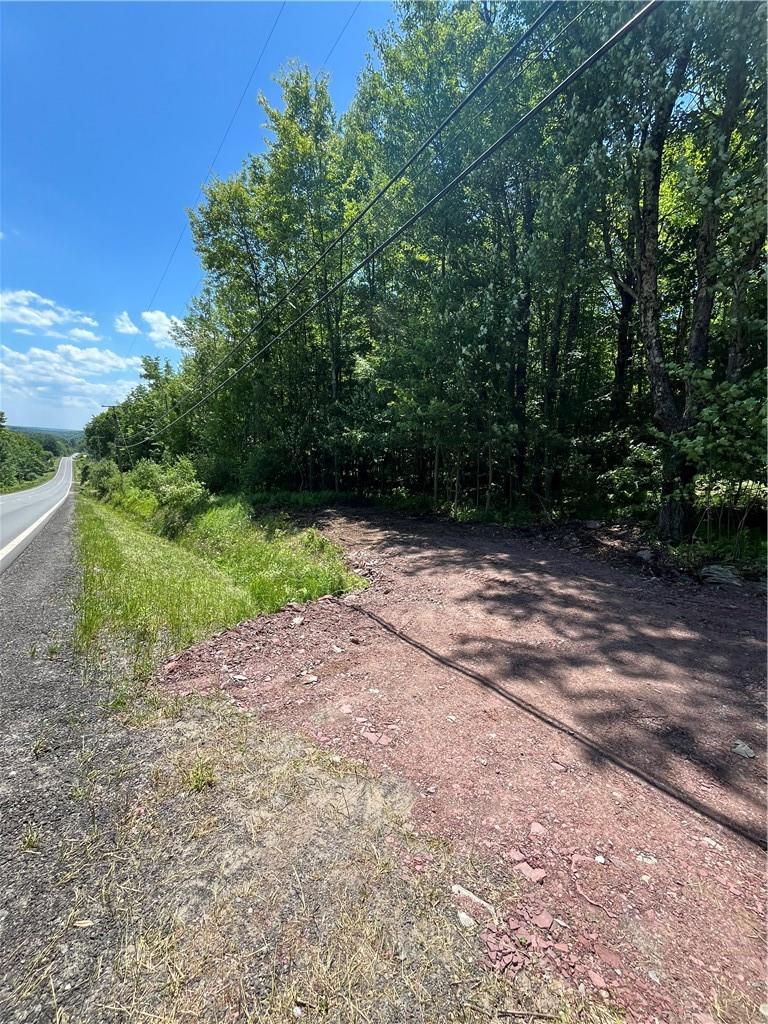 #8 photo, Dahlia LOT 2 Road, Livingston Manor , NY 12758