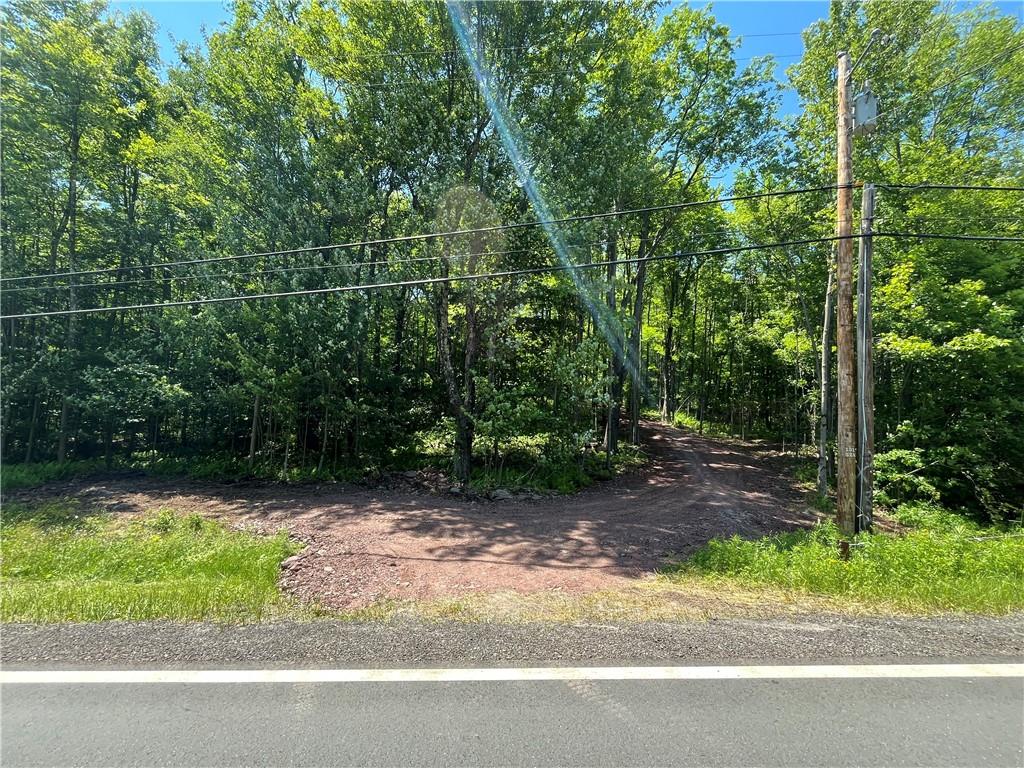 #9 photo, Dahlia LOT 2 Road, Livingston Manor , NY 12758