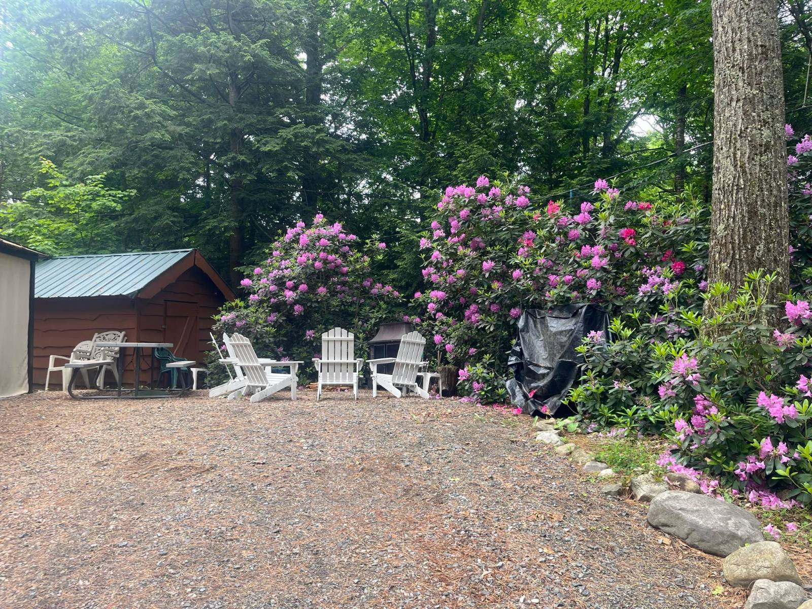 #4 photo, 127 North Shore Rd, West Caroga Lake , NY 12032