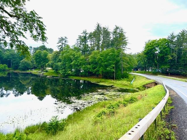 #4 photo, Lot 8.4 Beaver Brook Road, Eldred , NY 12792