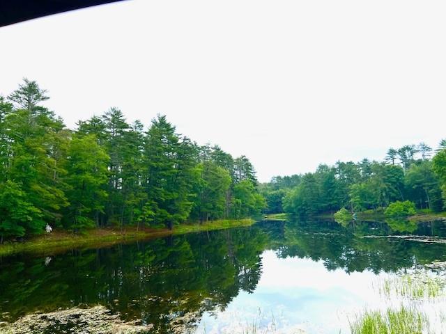 #6 photo, Lot 8.4 Beaver Brook Road, Eldred , NY 12792