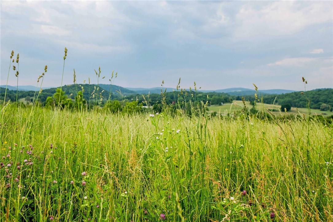 #10 photo, 390 Carpenter Hill Road, Pine Plains , NY 12567