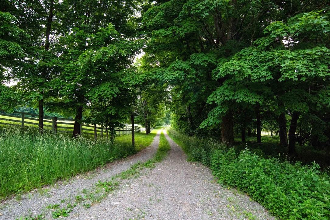 #4 photo, 390 Carpenter Hill Road, Pine Plains , NY 12567