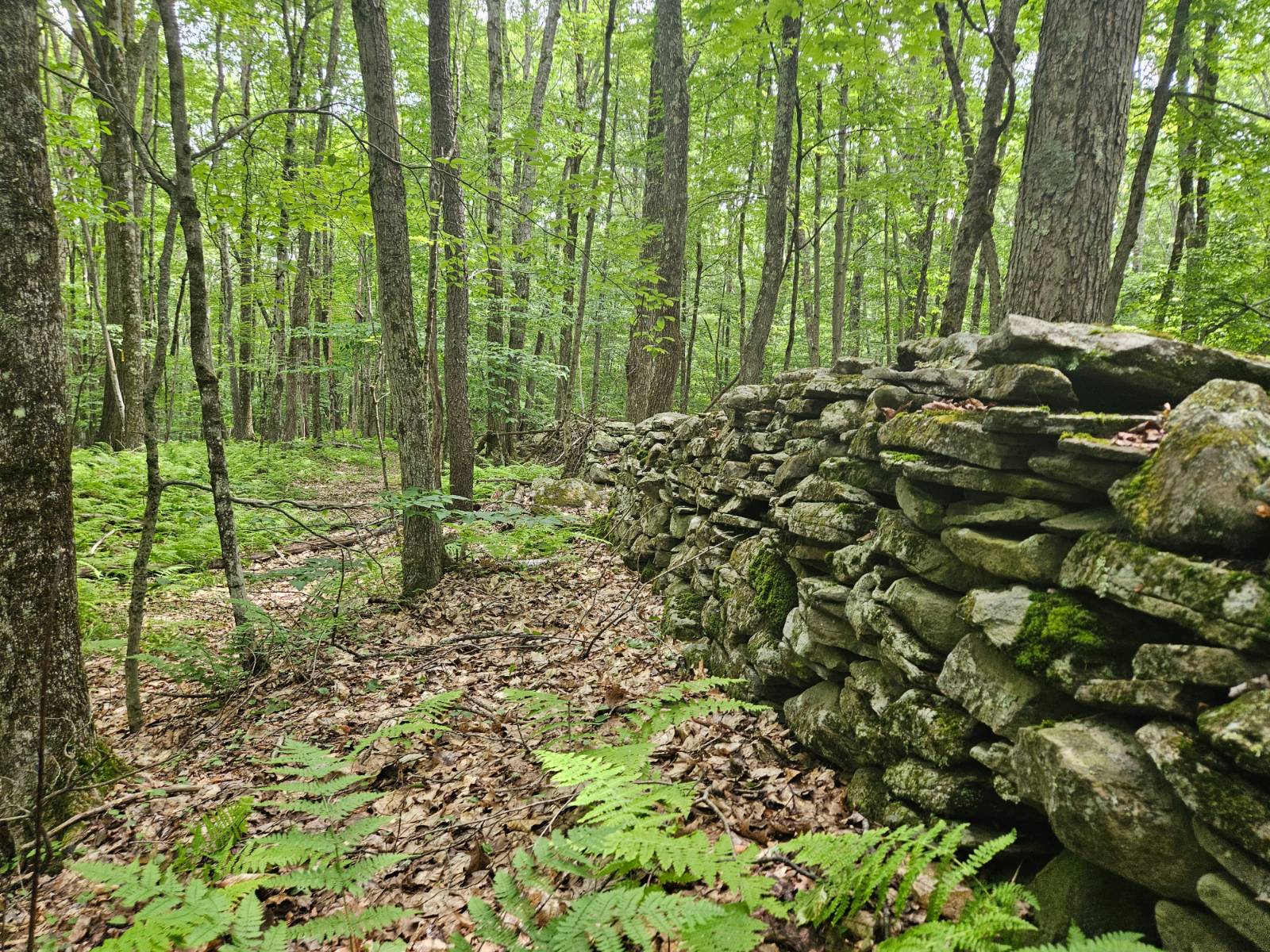 #2 photo, TBD Barley Road, Highmount , NY 12441