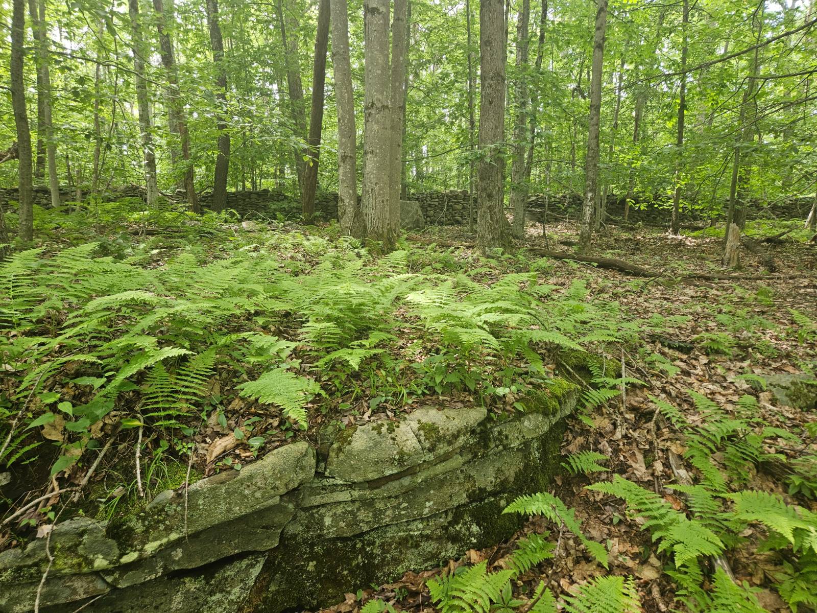 #4 photo, TBD Barley Road, Highmount , NY 12441