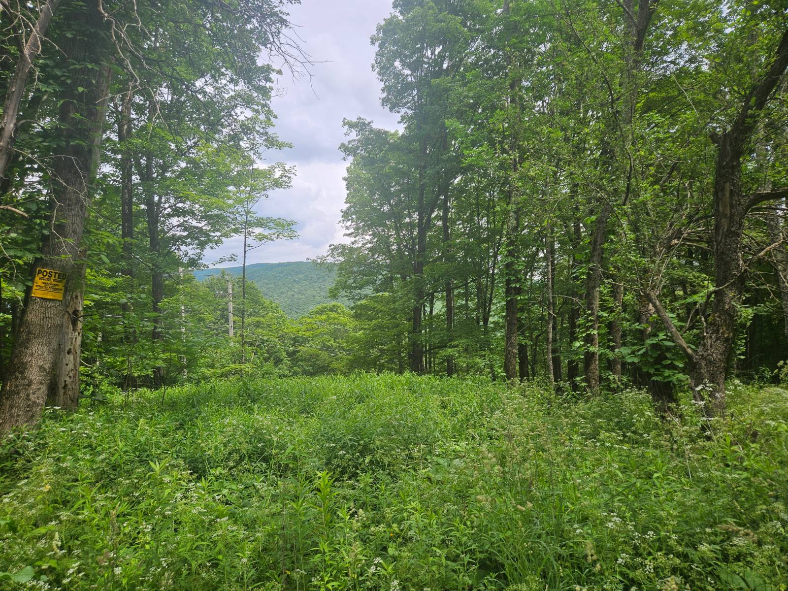 #6 photo, TBD Barley Road, Highmount , NY 12441