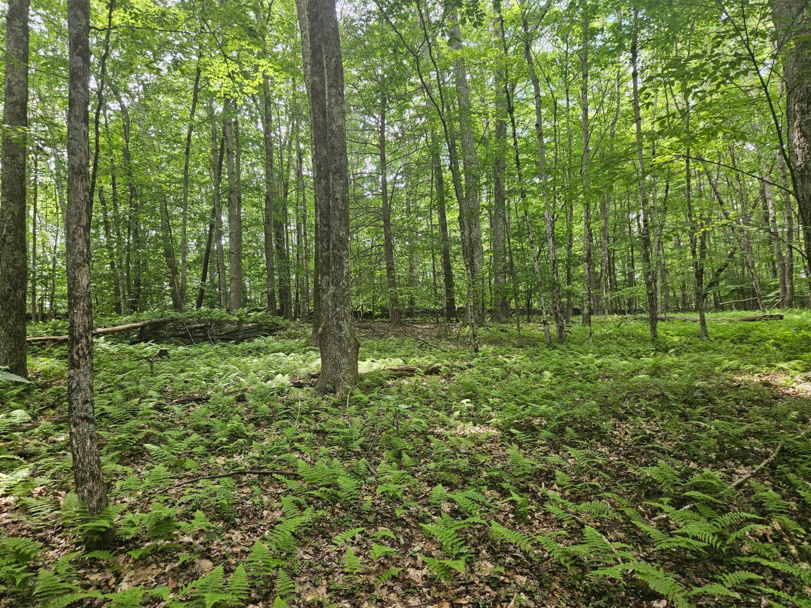 #8 photo, TBD Barley Road, Highmount , NY 12441