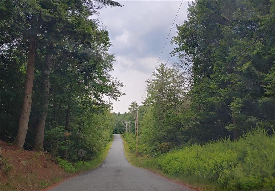 #2 photo, Brady Avenue, Smallwood , NY 12778