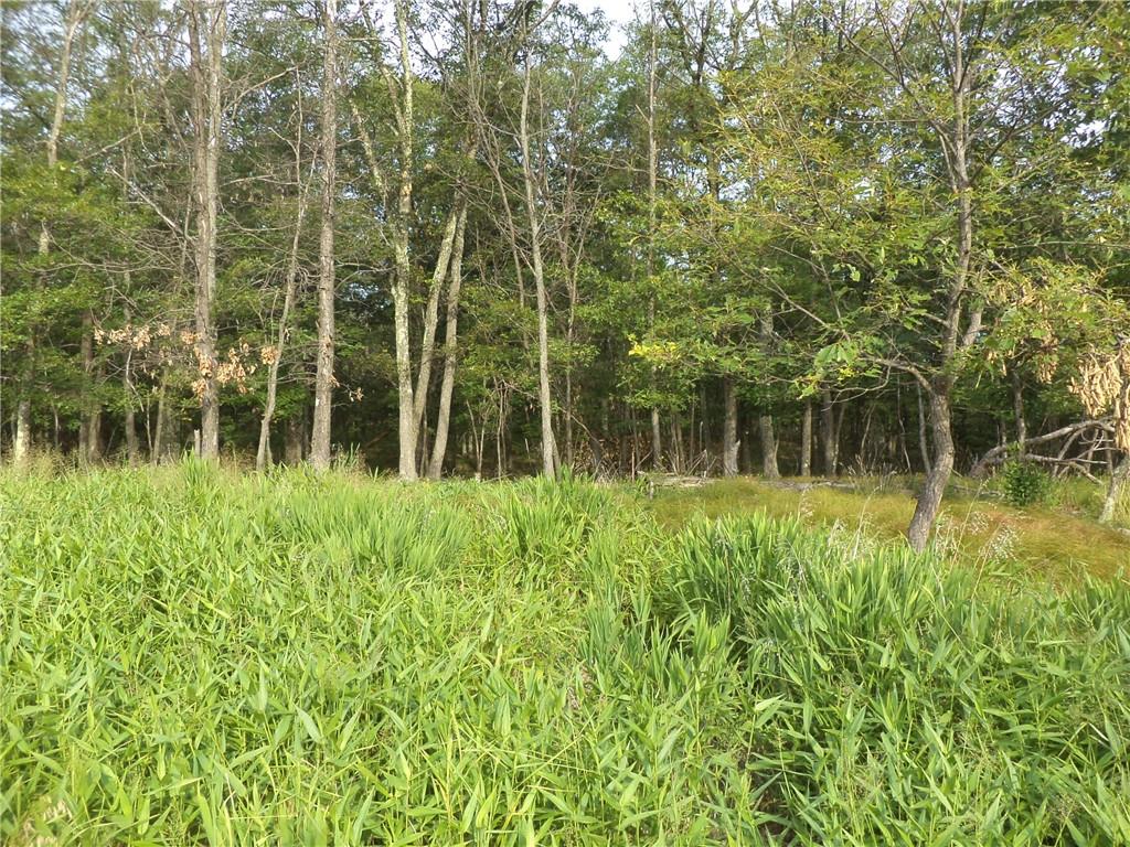 #12 photo, 50 Blanchard Road, Stony Point , NY 10980