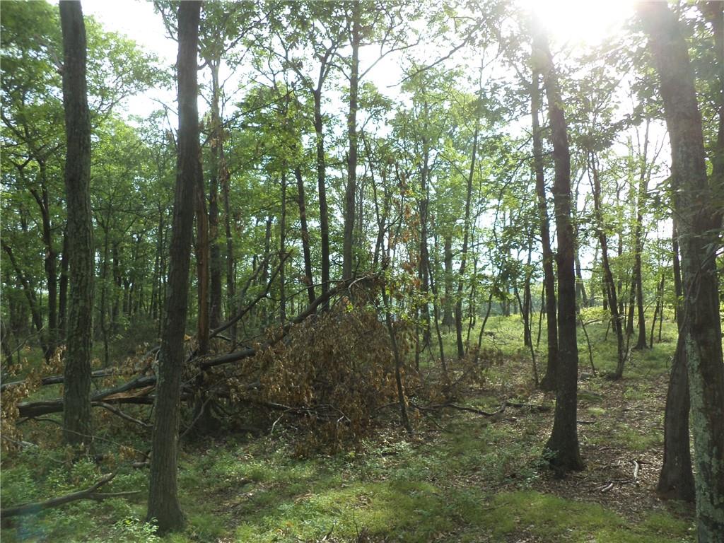 #13 photo, 50 Blanchard Road, Stony Point , NY 10980