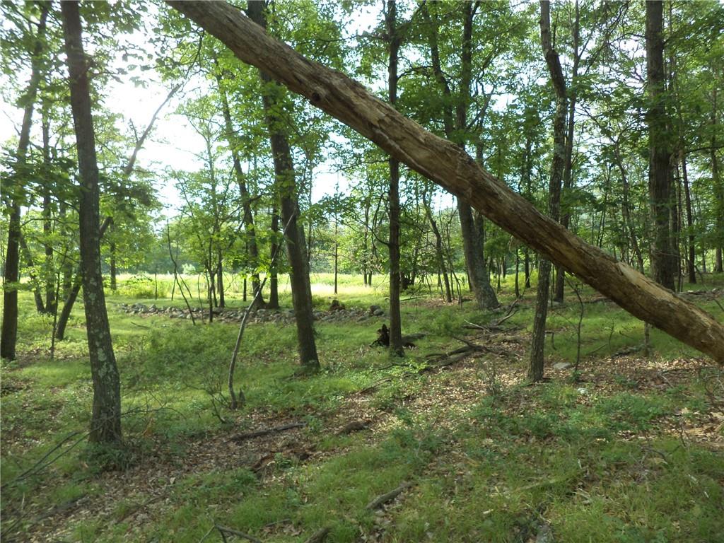 #15 photo, 50 Blanchard Road, Stony Point , NY 10980