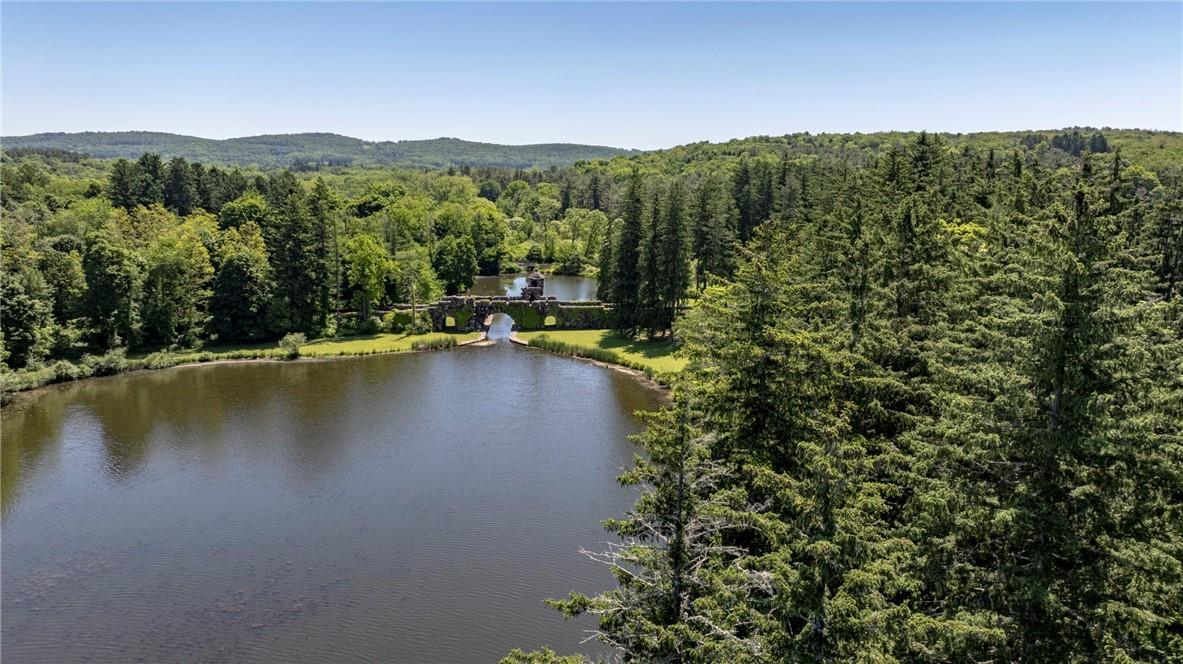 #10 photo, 45 Hitchcock Lane, Millbrook , NY 12545