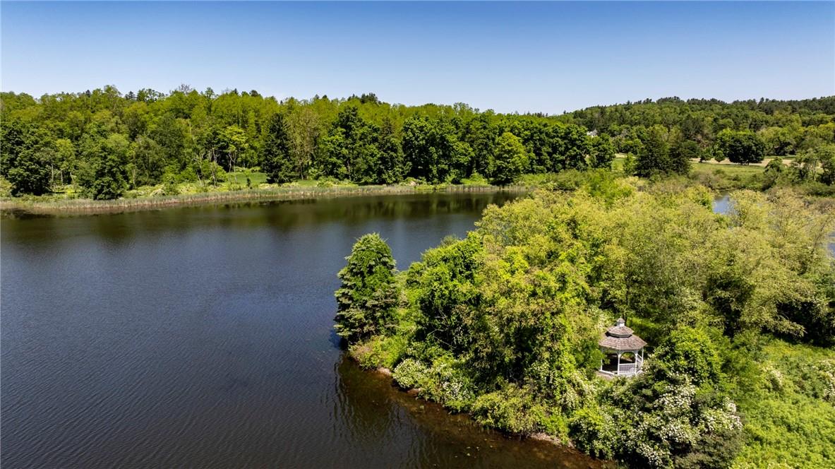 #15 photo, 45 Hitchcock Lane, Millbrook , NY 12545