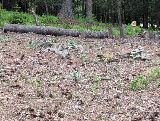 #10 photo, Eldred-Yulan Road, Call Listing Agent , NY 12792