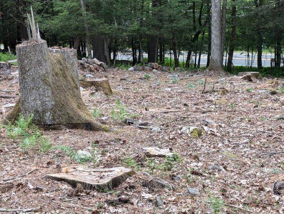 #11 photo, Eldred-Yulan Road, Call Listing Agent , NY 12792