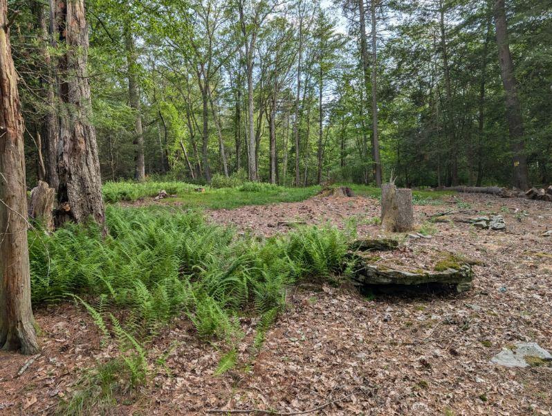 #14 photo, Eldred-Yulan Road, Call Listing Agent , NY 12792