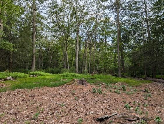 #15 photo, Eldred-Yulan Road, Call Listing Agent , NY 12792