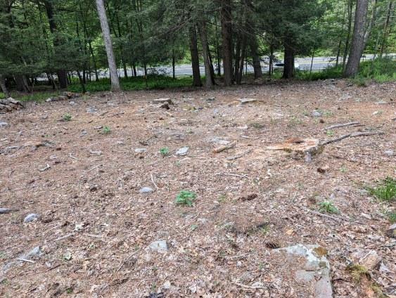 #16 photo, Eldred-Yulan Road, Call Listing Agent , NY 12792