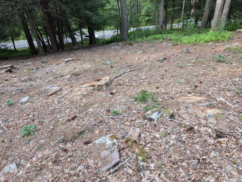 #3 photo, Eldred-Yulan Road, Call Listing Agent , NY 12792