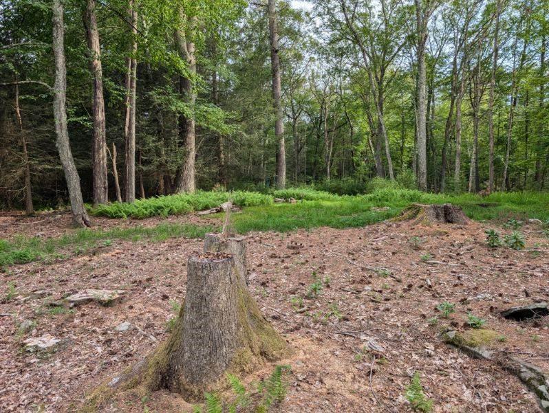 #5 photo, Eldred-Yulan Road, Call Listing Agent , NY 12792