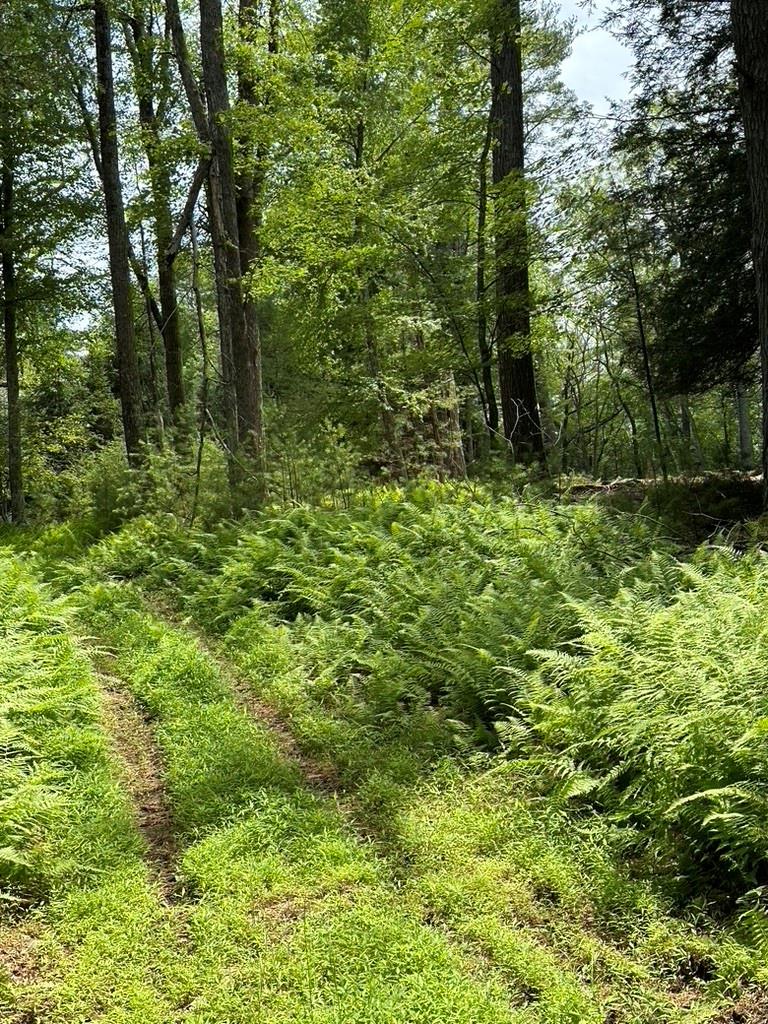 #6 photo, Eldred-Yulan Road, Call Listing Agent , NY 12792