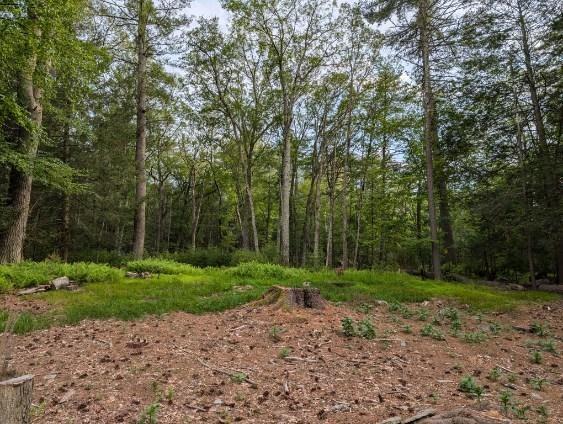 #7 photo, Eldred-Yulan Road, Call Listing Agent , NY 12792