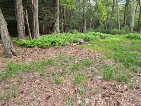 #9 photo, Eldred-Yulan Road, Call Listing Agent , NY 12792