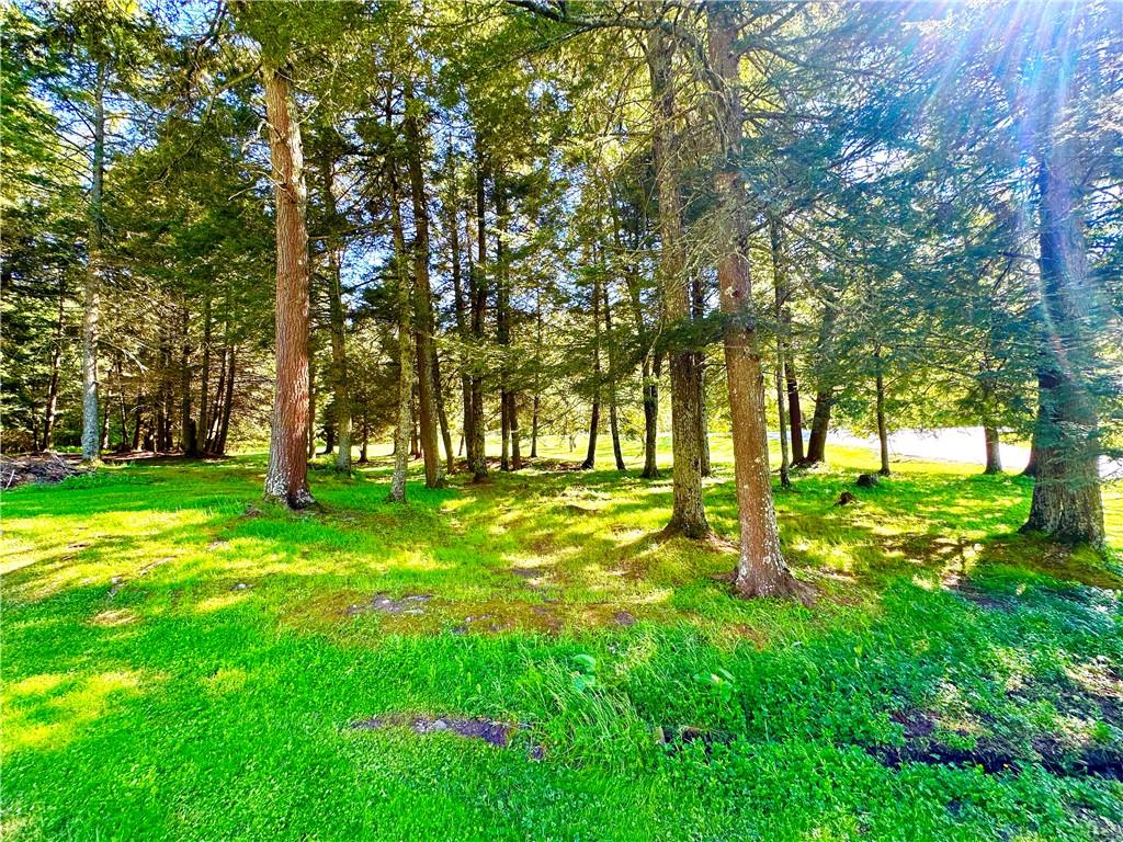 #17 photo, 12 Mesmer Hill Road, Callicoon , NY 12723