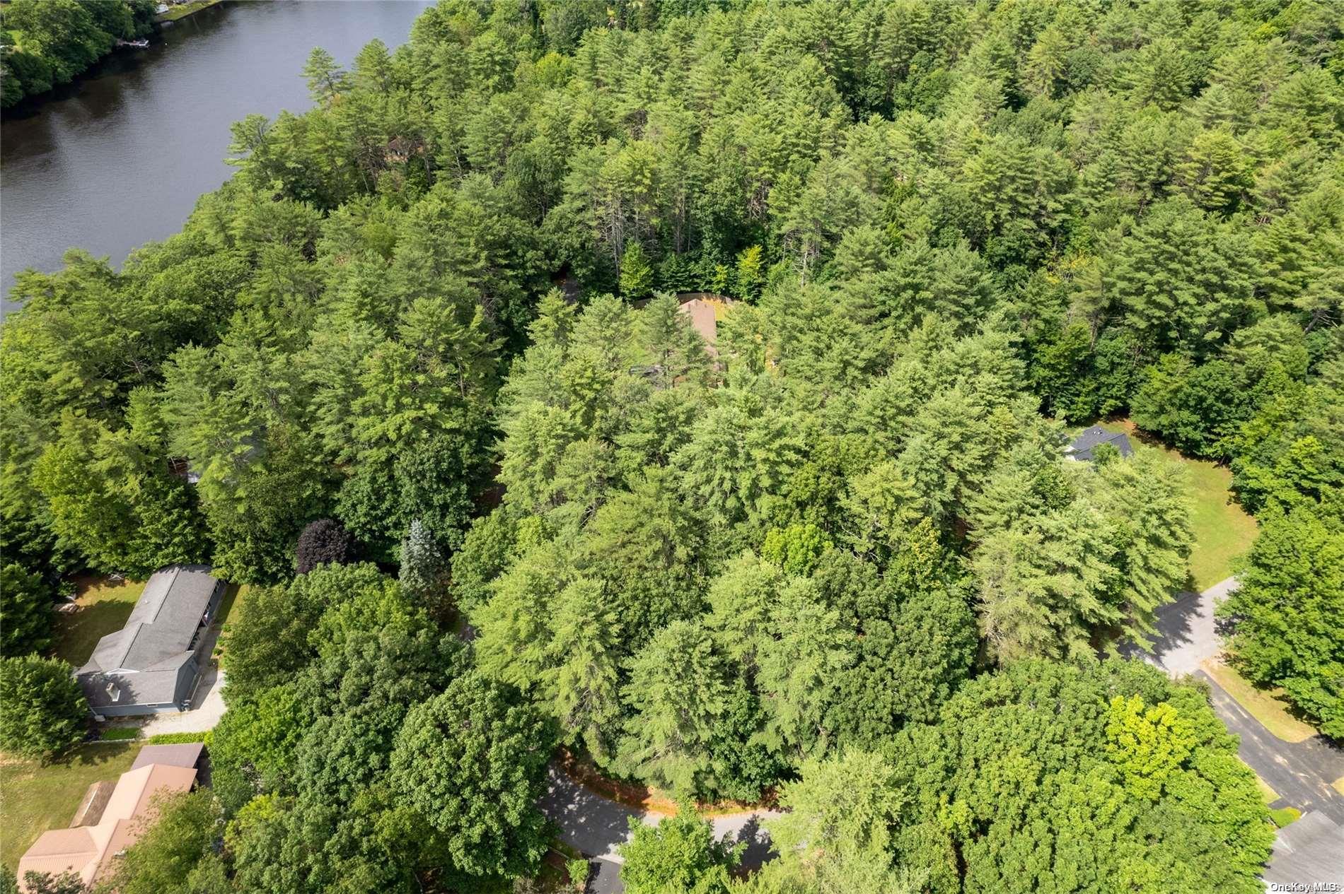 #10 photo, L20 White Birch Drive, Call Listing Agent , NY 12846