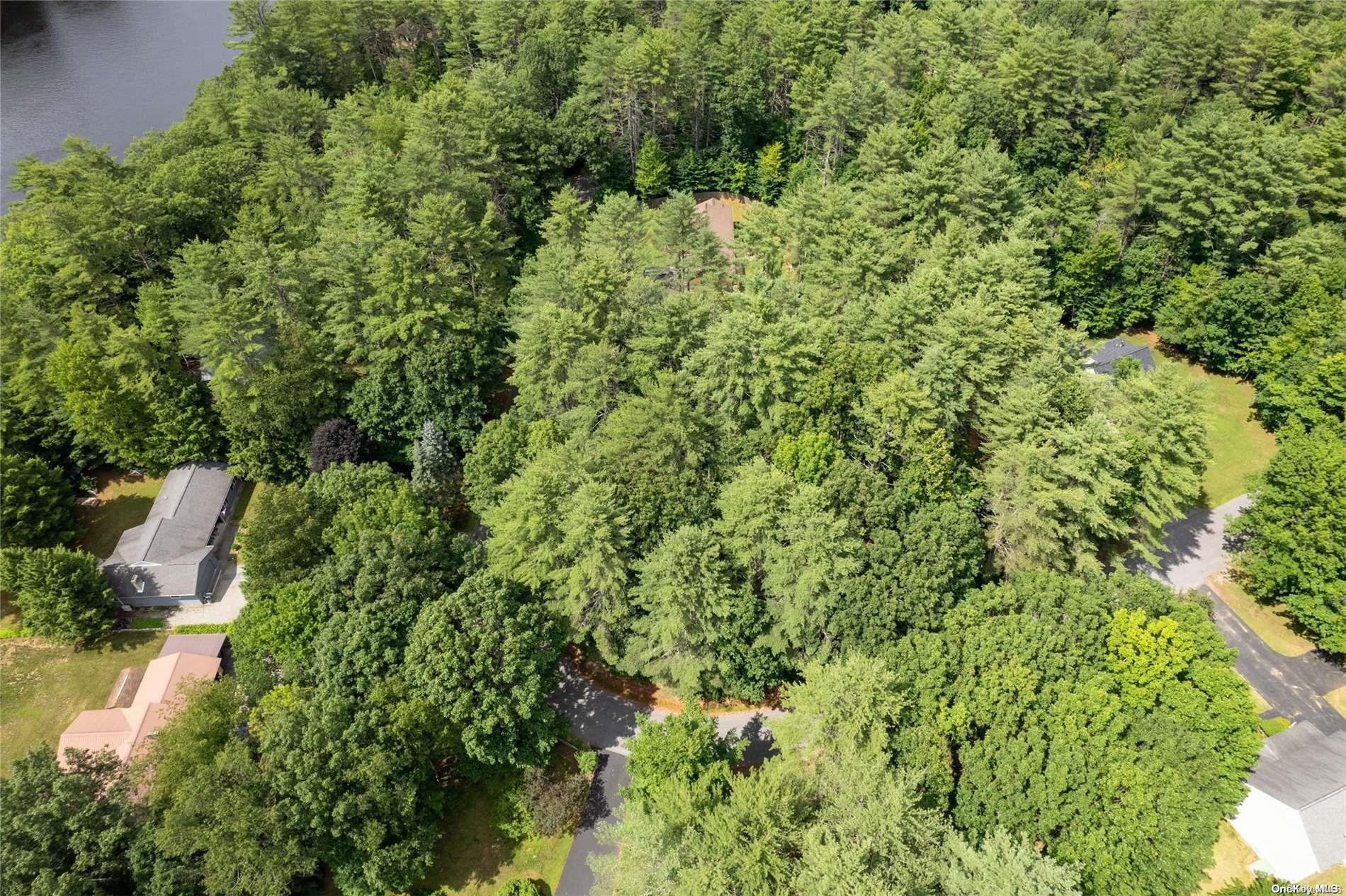 #11 photo, L20 White Birch Drive, Call Listing Agent , NY 12846