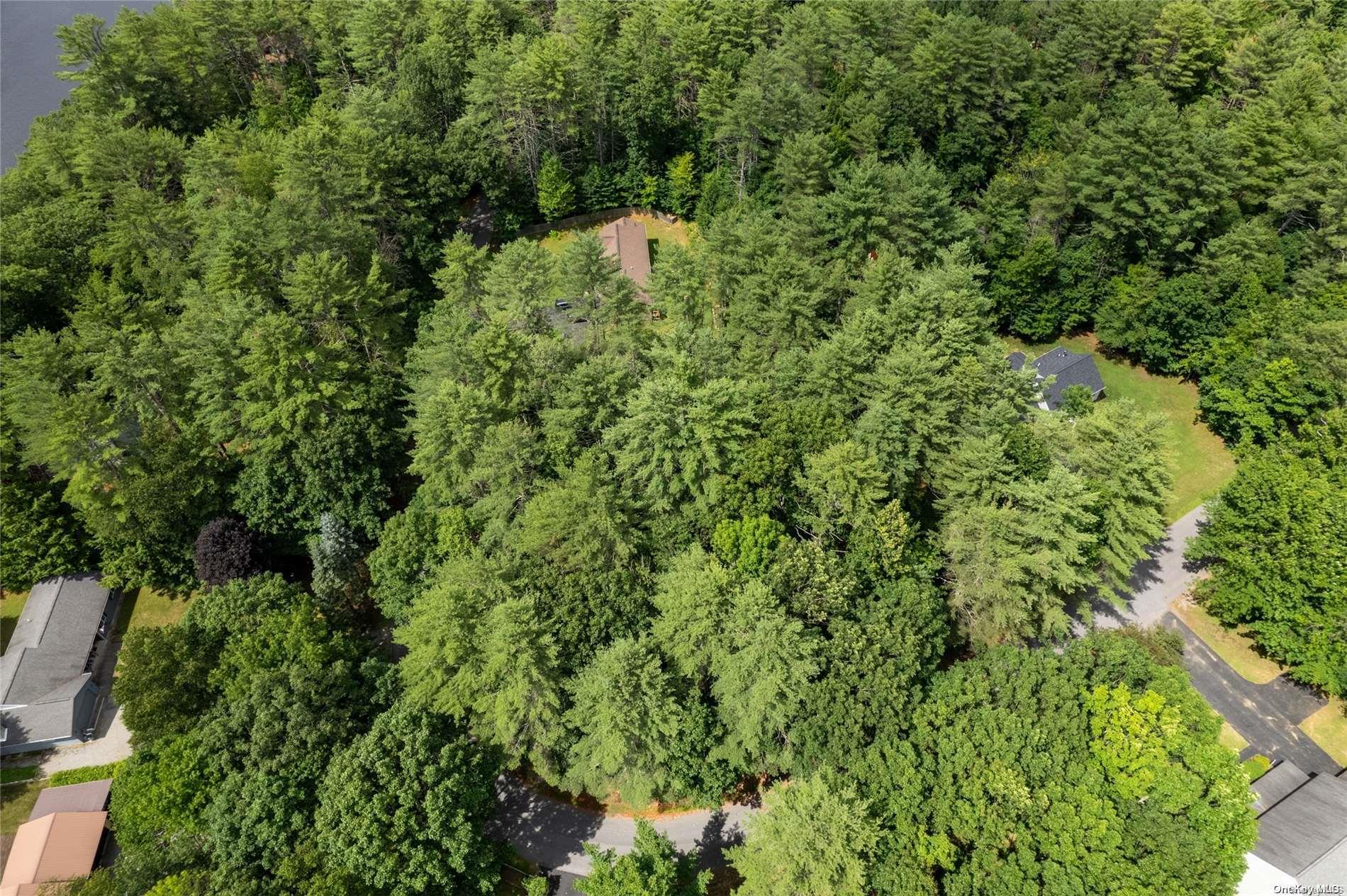 #14 photo, L20 White Birch Drive, Call Listing Agent , NY 12846