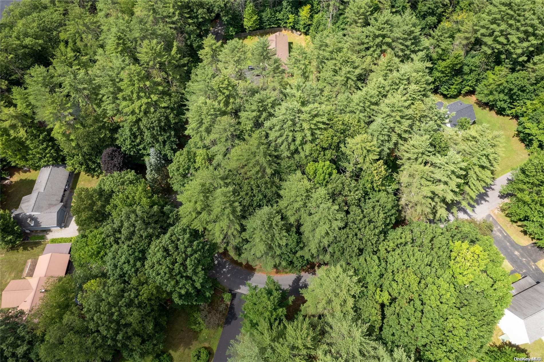 #15 photo, L20 White Birch Drive, Call Listing Agent , NY 12846