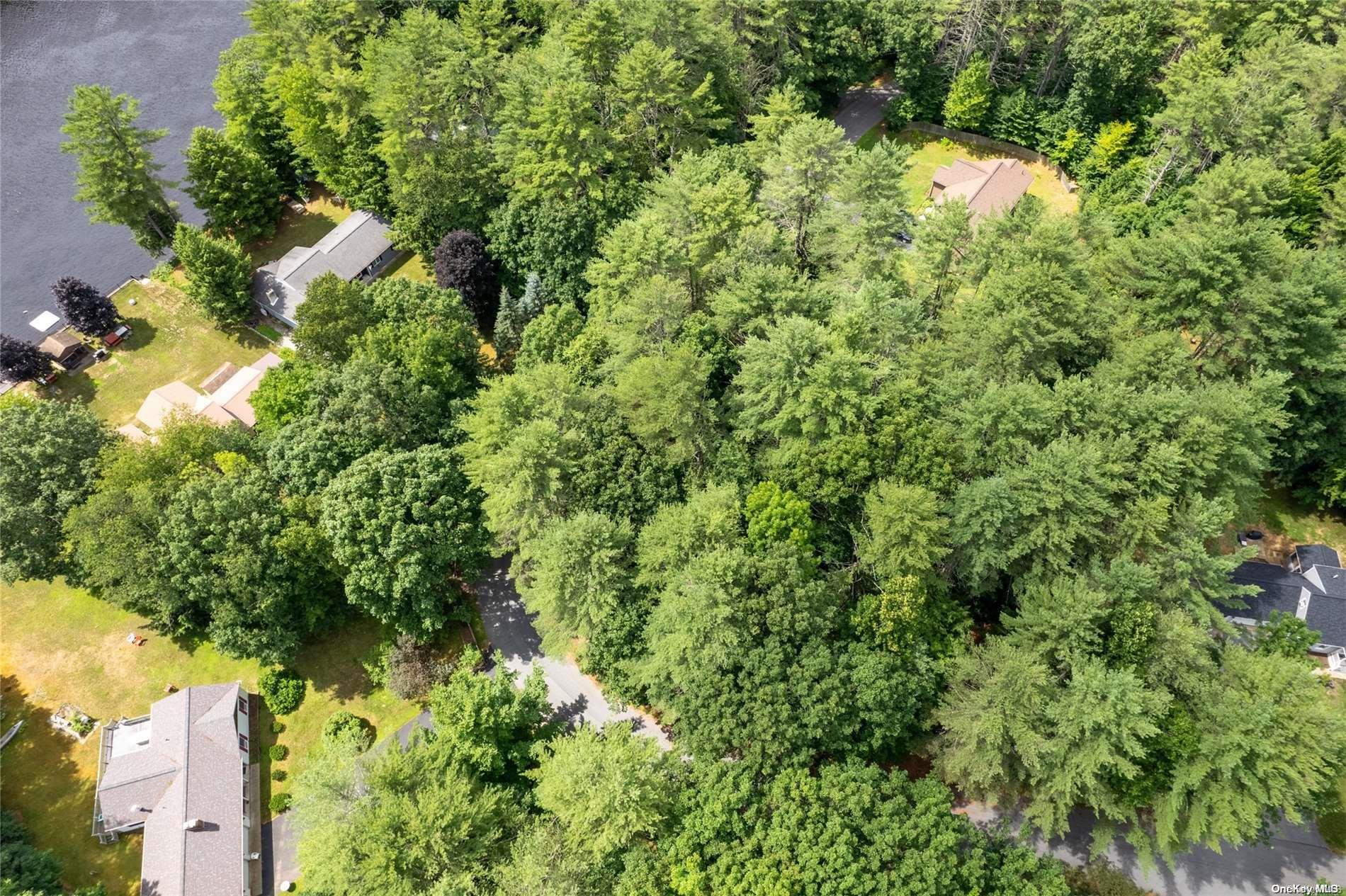 #16 photo, L20 White Birch Drive, Call Listing Agent , NY 12846