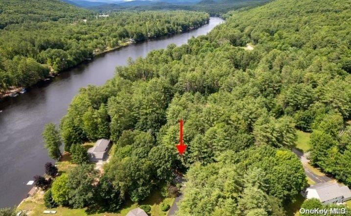 #2 photo, L20 White Birch Drive, Call Listing Agent , NY 12846