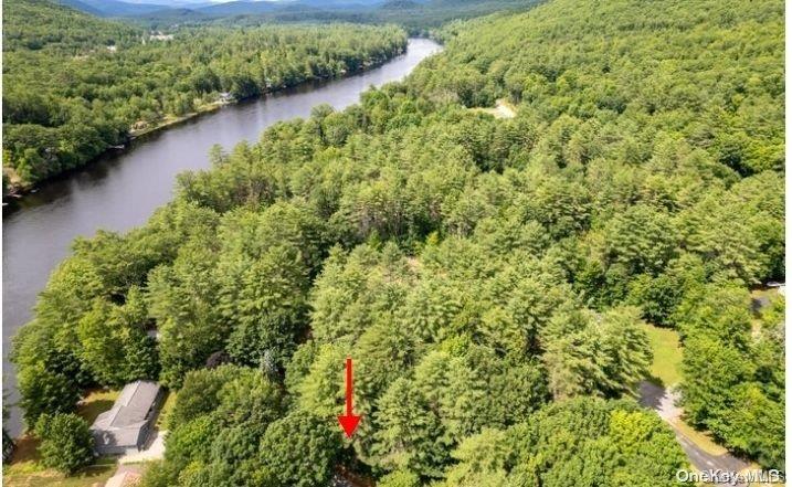 #3 photo, L20 White Birch Drive, Call Listing Agent , NY 12846