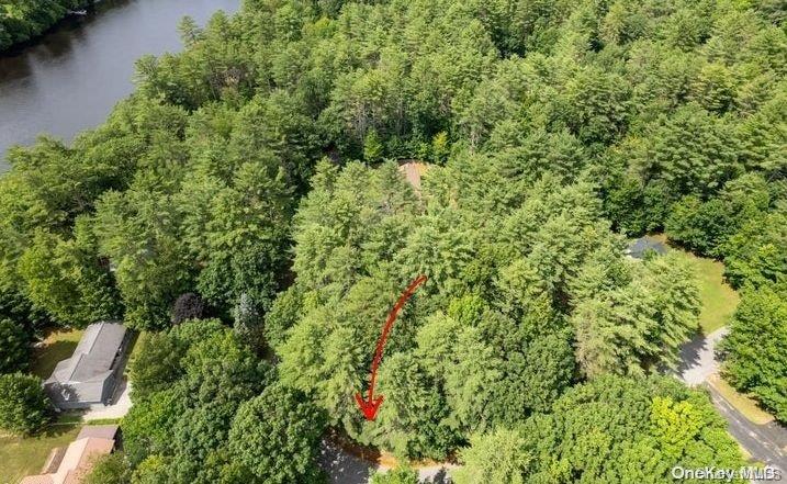 #4 photo, L20 White Birch Drive, Call Listing Agent , NY 12846