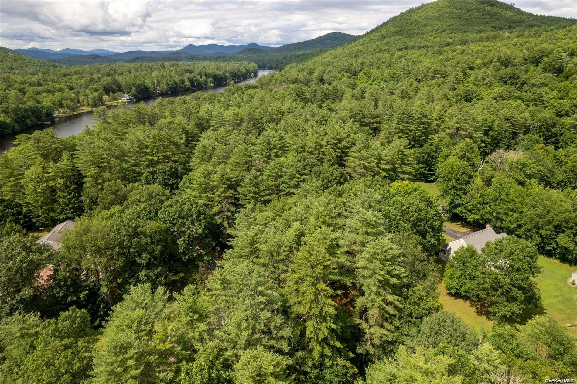 #5 photo, L20 White Birch Drive, Call Listing Agent , NY 12846