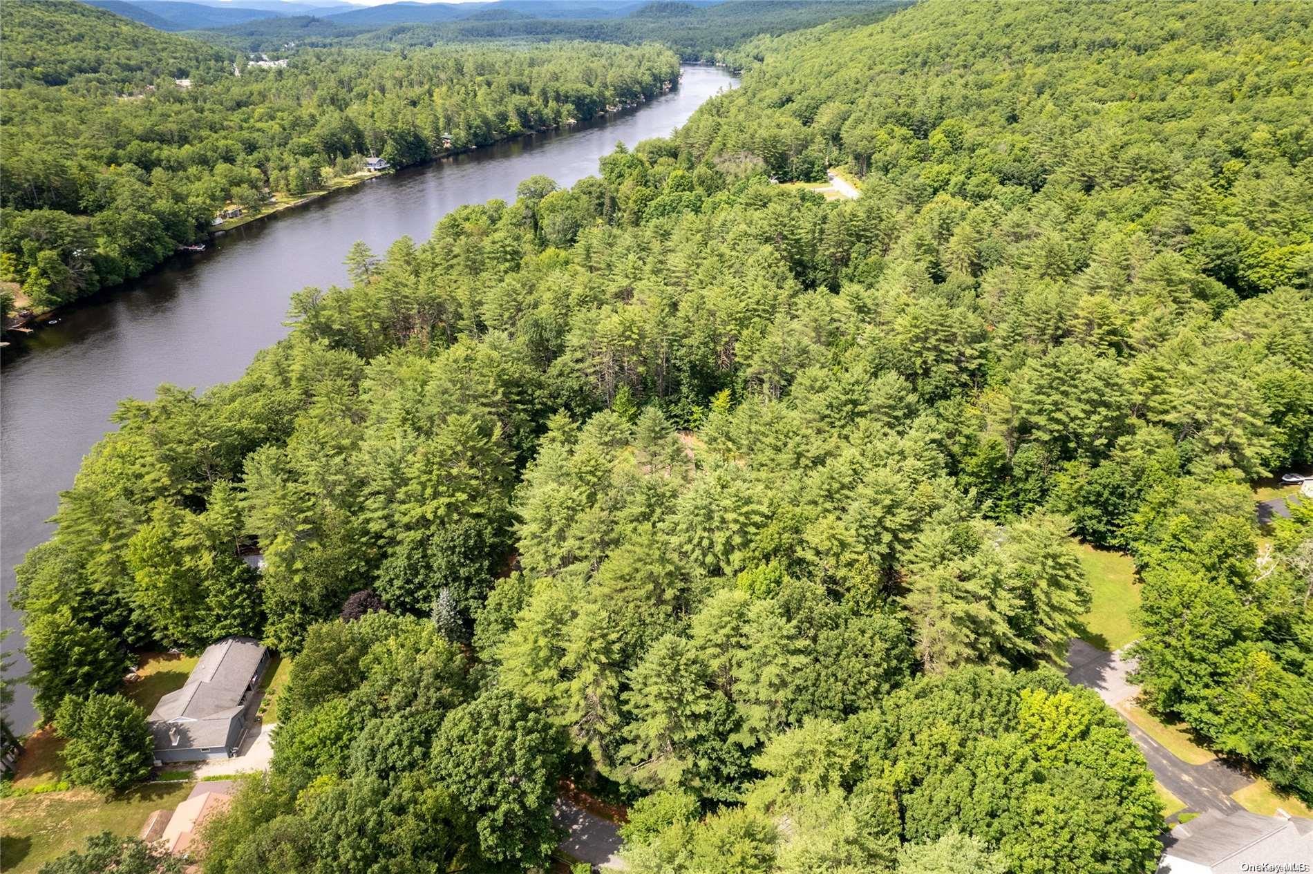 #9 photo, L20 White Birch Drive, Call Listing Agent , NY 12846