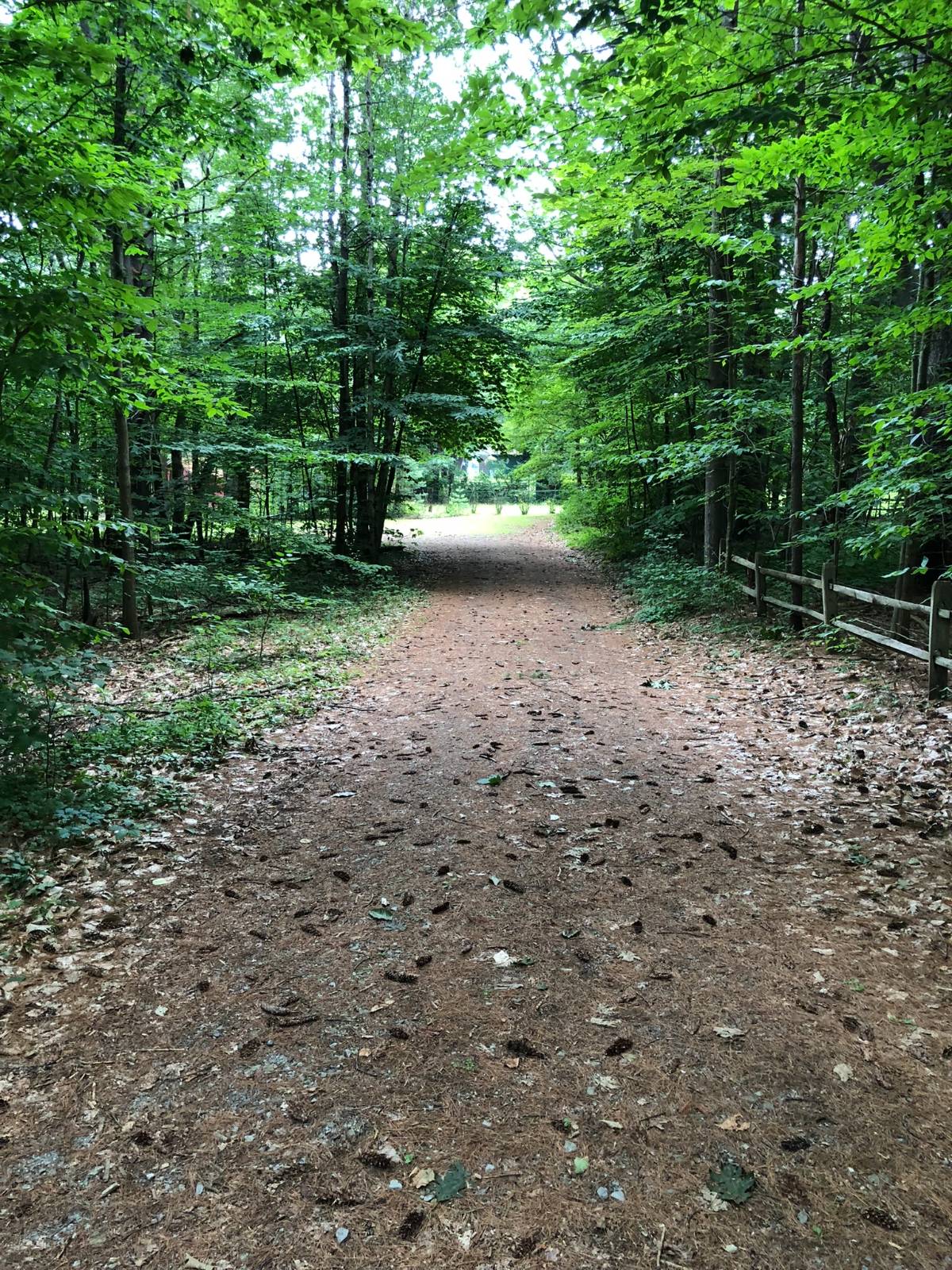 #13 photo, L20 White Birch Dr, Lake Luzerne , NY 12846