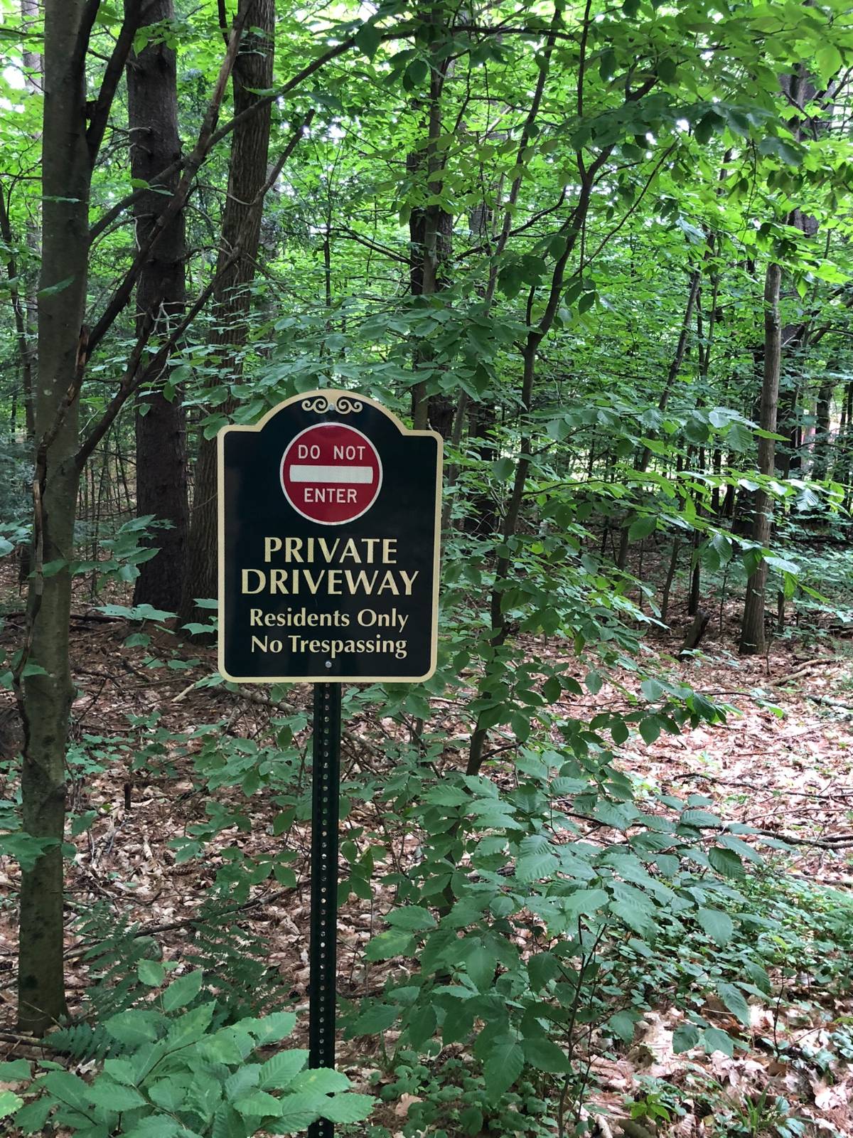 #14 photo, L20 White Birch Dr, Lake Luzerne , NY 12846