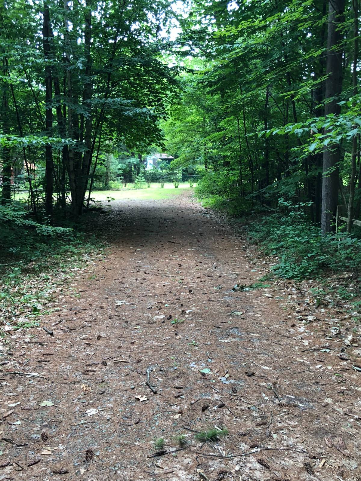 #16 photo, L20 White Birch Dr, Lake Luzerne , NY 12846