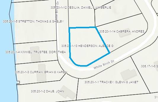 #31 photo, L20 White Birch Dr, Lake Luzerne , NY 12846