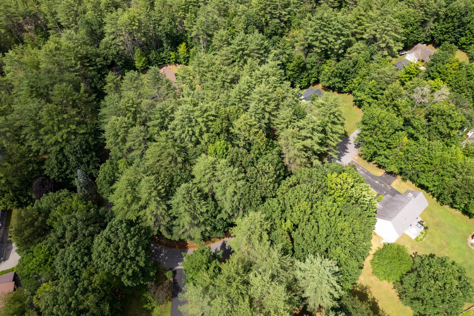 #9 photo, L20 White Birch Dr, Lake Luzerne , NY 12846