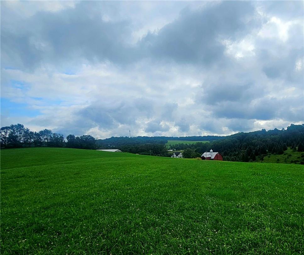 #12 photo, 495 Swiss Hill Road, Jeffersonville , NY 12748