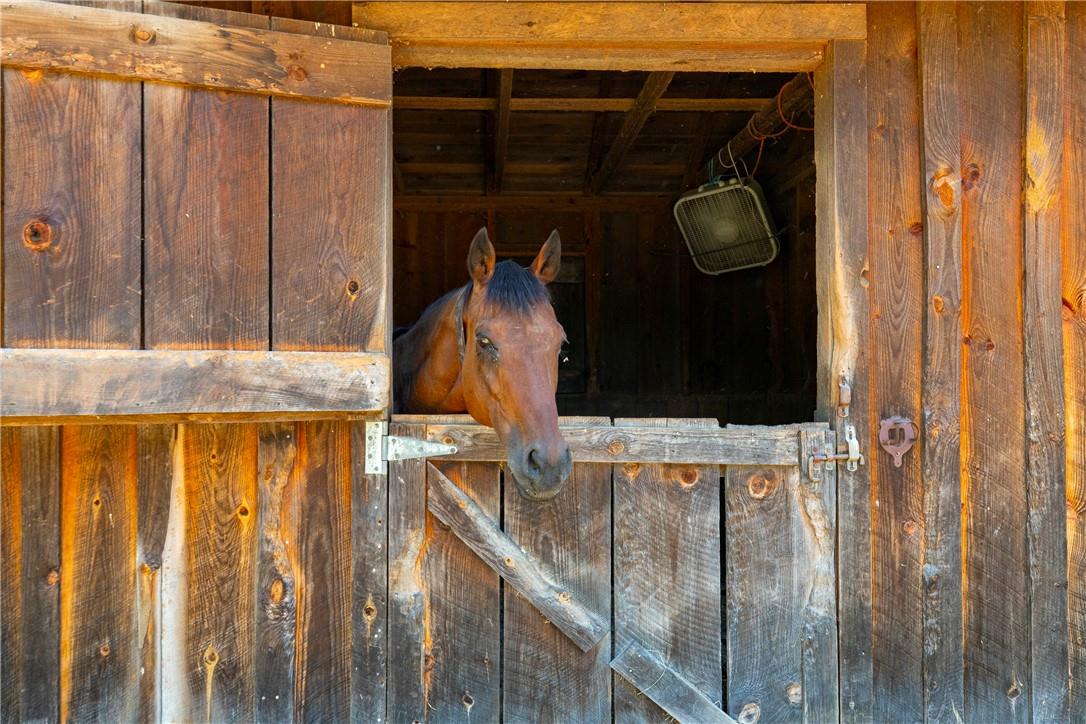 #14 photo, 4 Browning Road, Hyde Park , NY 12538