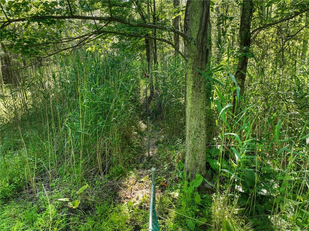 #17 photo, 1 Badi Drive, Nyack , NY 10960