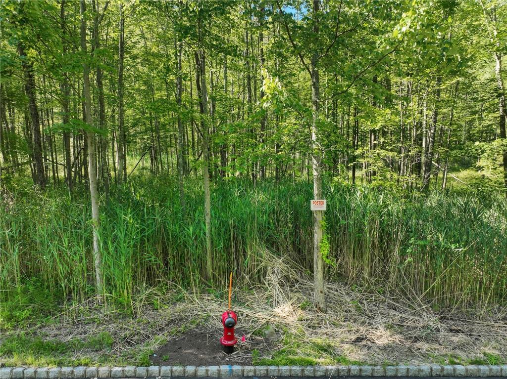 #5 photo, 1 Badi Drive, Nyack , NY 10960